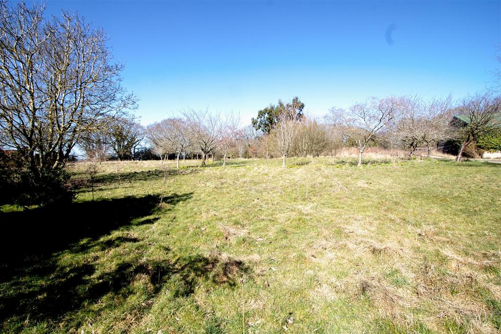 VIEW S1.jpg