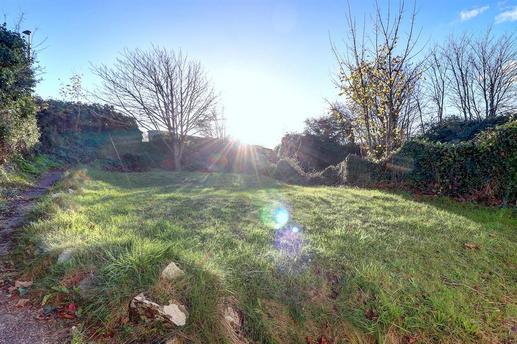 Garden .1.jpg