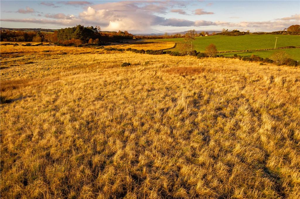 Land At Altries