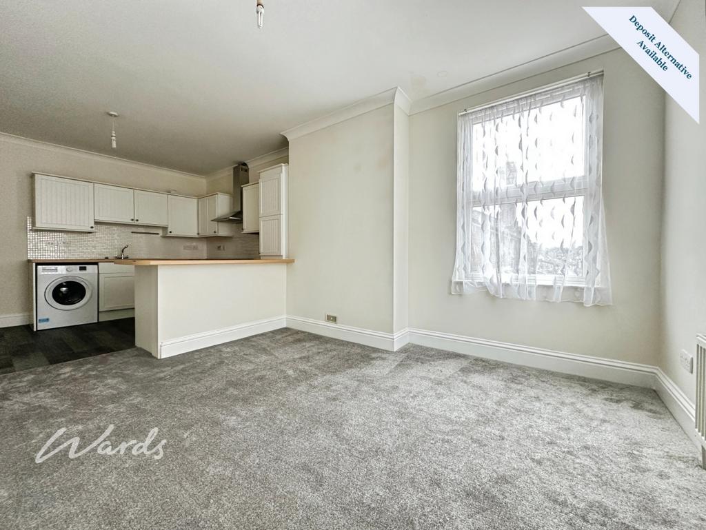 Living/Kitchen Area
