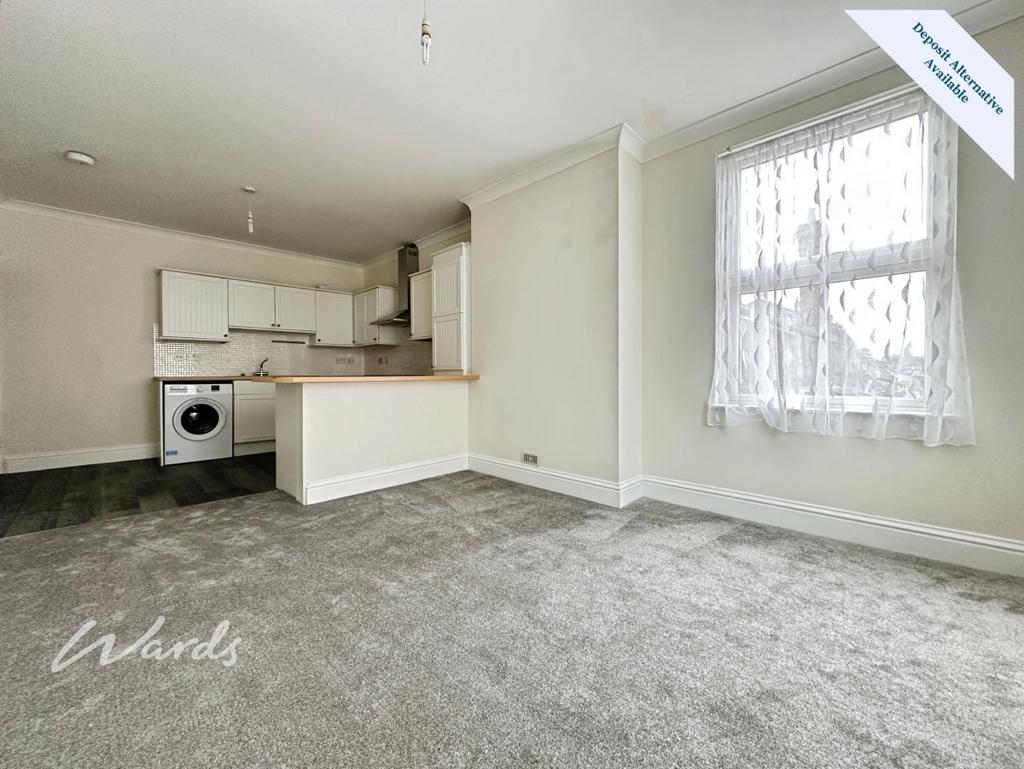 Living/Kitchen Area