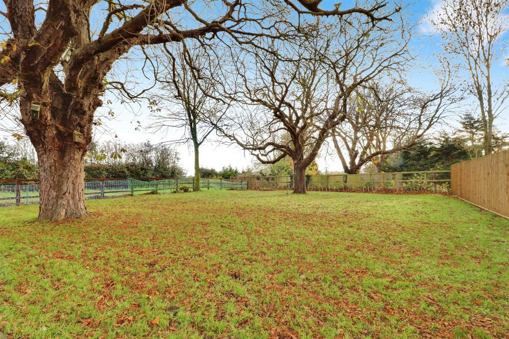 0bce54d3-IMG 1305-IMG 1307.jpg