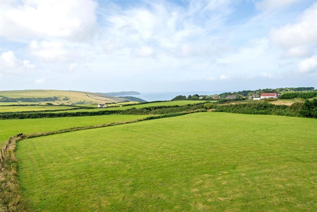 Drone View