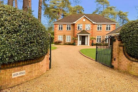 undefined, Warren Drive, Ringwood, BH24 2AS