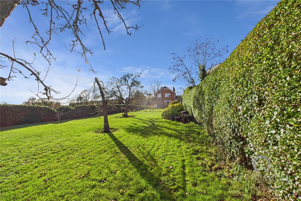 Picture No. 06