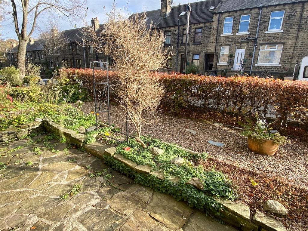 Front garden.jpg