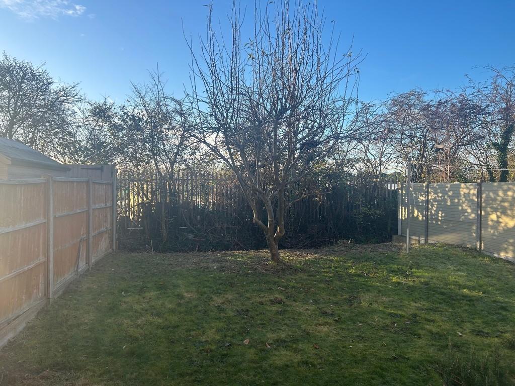 Garden shot edith wood close
