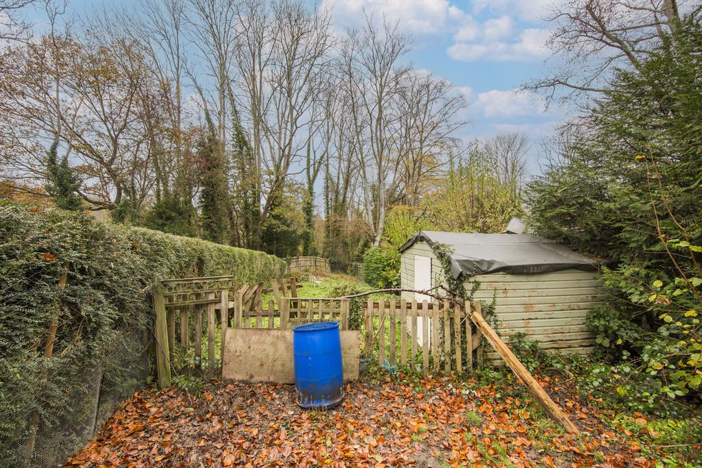 Garden 6