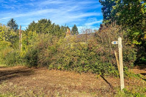 undefined, Ranmore Common, Dorking