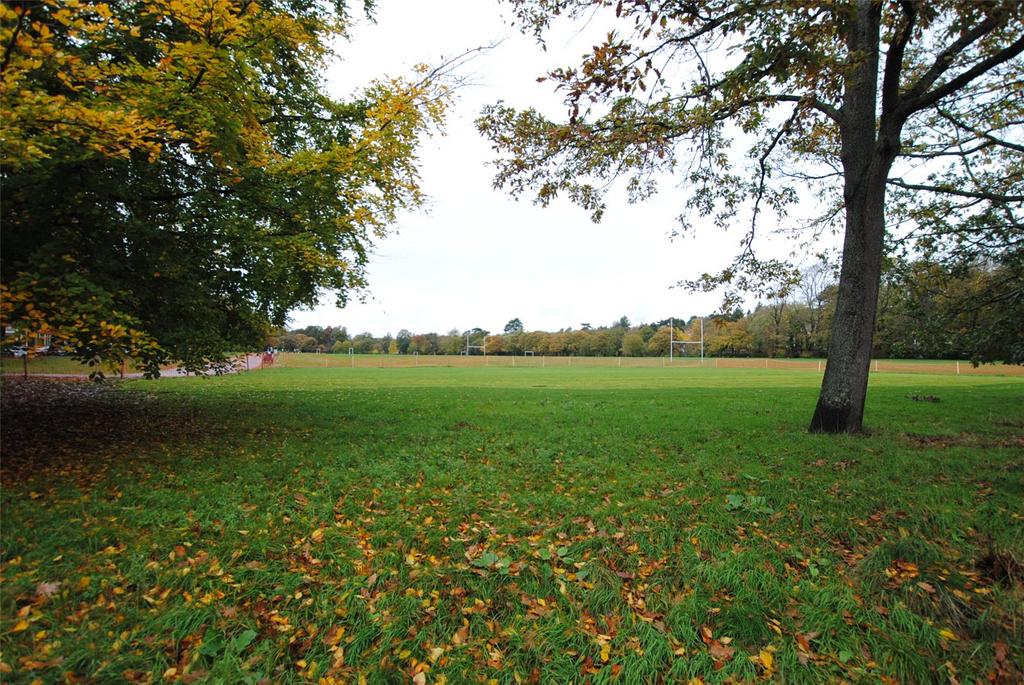Park