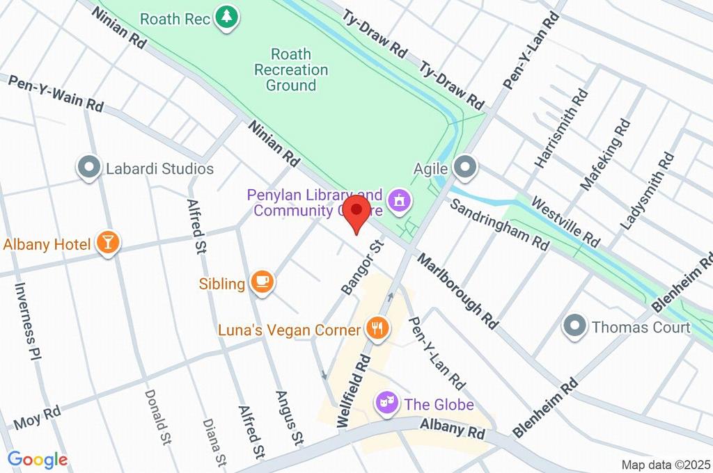 Google Maps Image