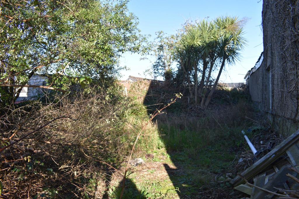 Side Garden