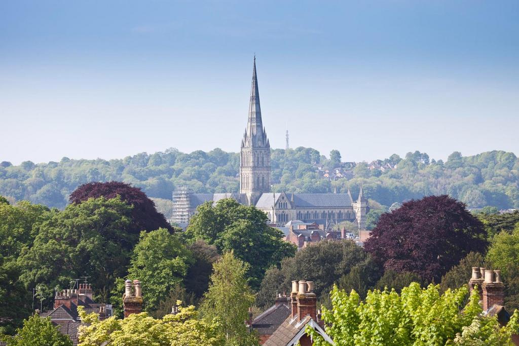 Cathedral View
