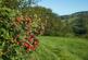 Additional image 17 of Plot 77, The Tatton at The Brambles, Dinting Road SK13