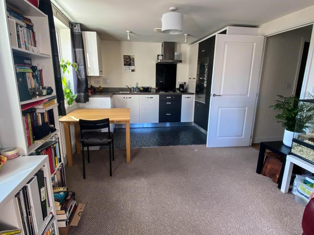 Kitchen/Living Area