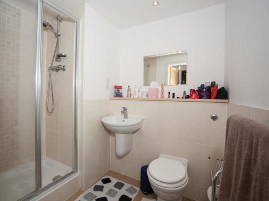 IMG 1961 6 large.jpg