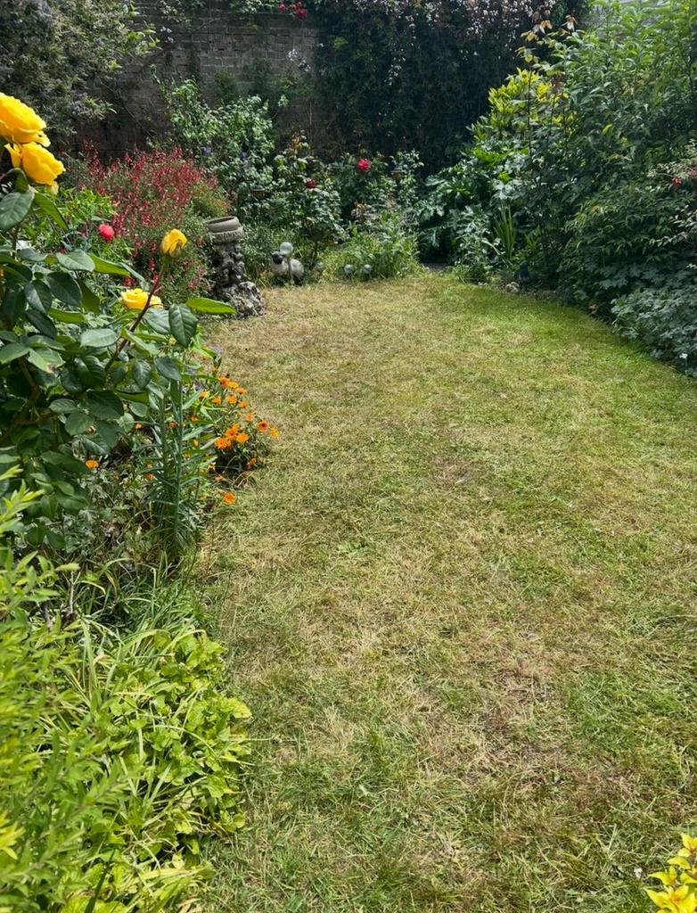 Picture 12