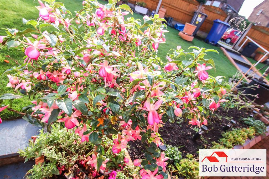 Tlc 2bb3615d-cb76-4765-8b5b-4cd26d8d79f5 41b85d8.j