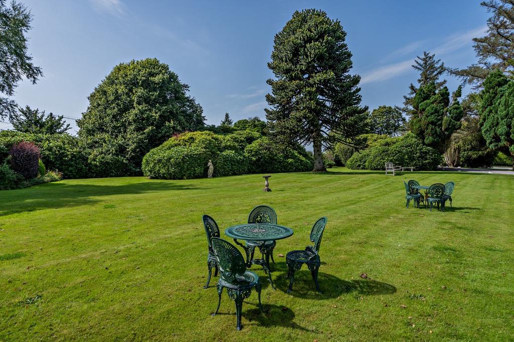 Ample Gardens
