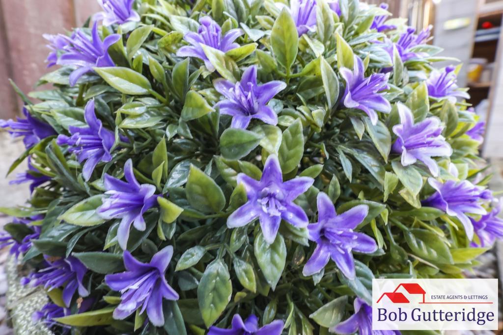 Pbox-garden-369217.jpg