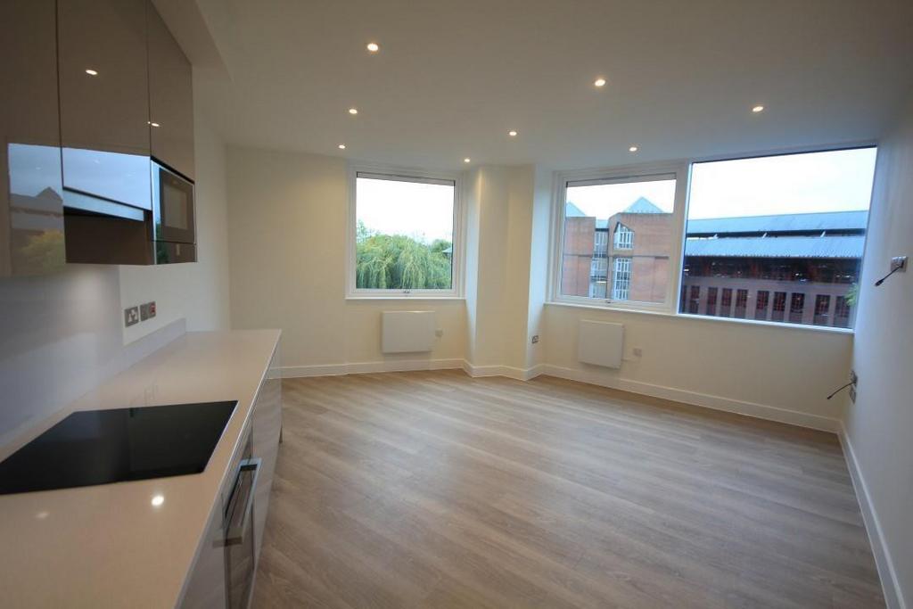 Kitchen/Living Room