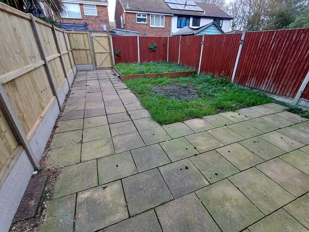 Picture 11