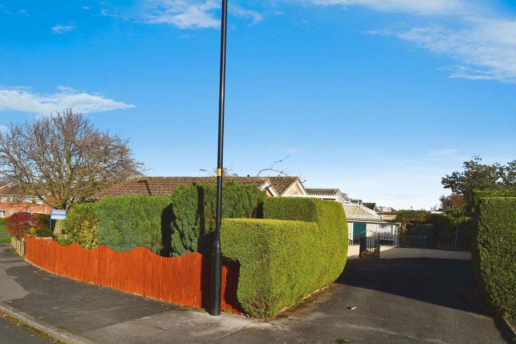 User edited photo-b6c6f7c9 user-edited-8def7334-70