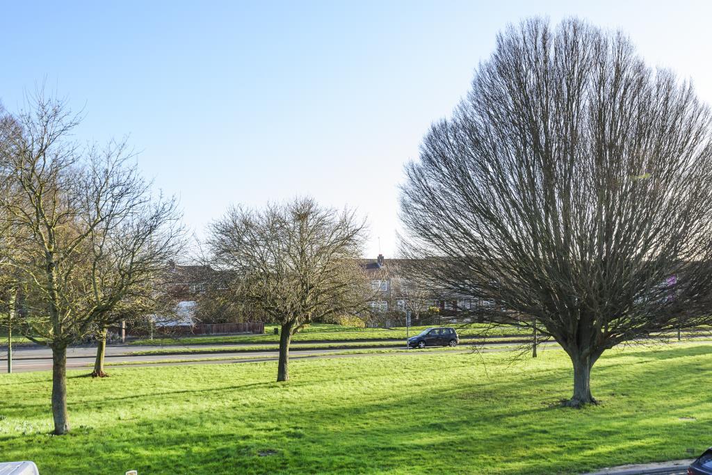 External Grounds
