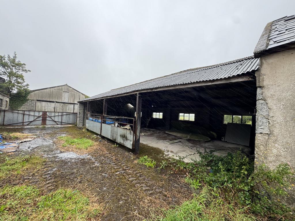 Calving Shed
