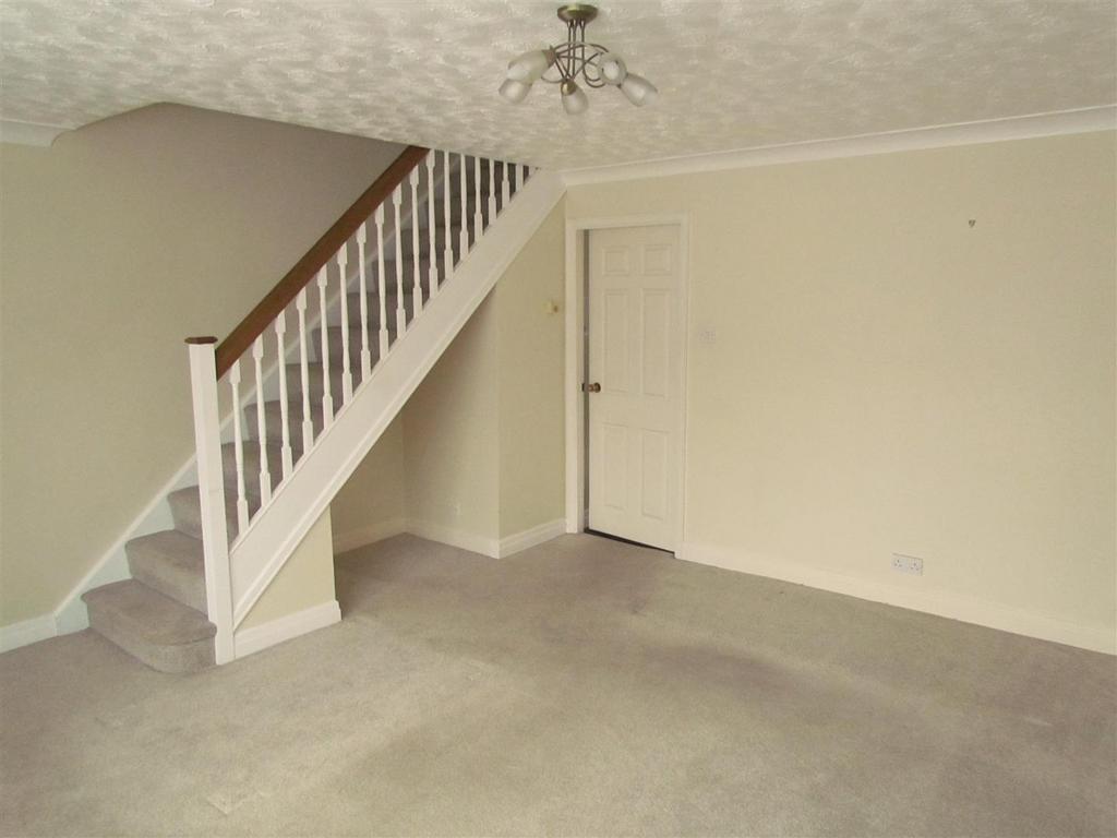 Img 0729.jpg