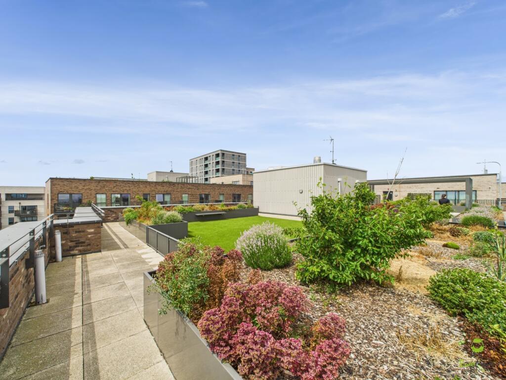 Roof Terrace