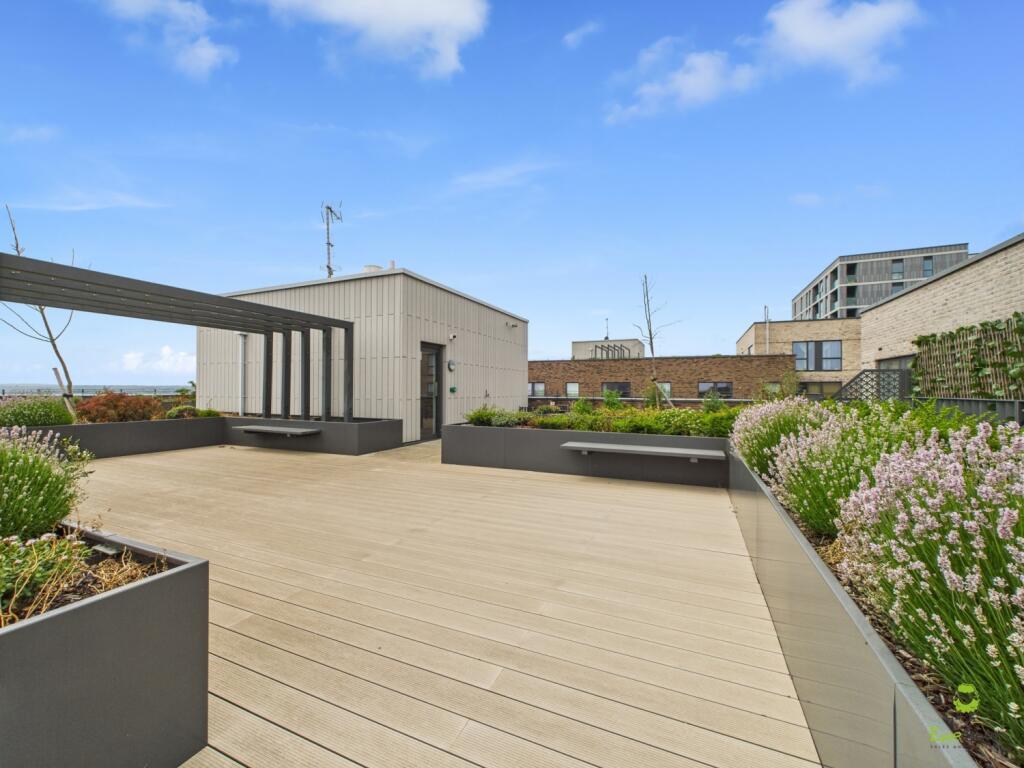 Roof Terrace