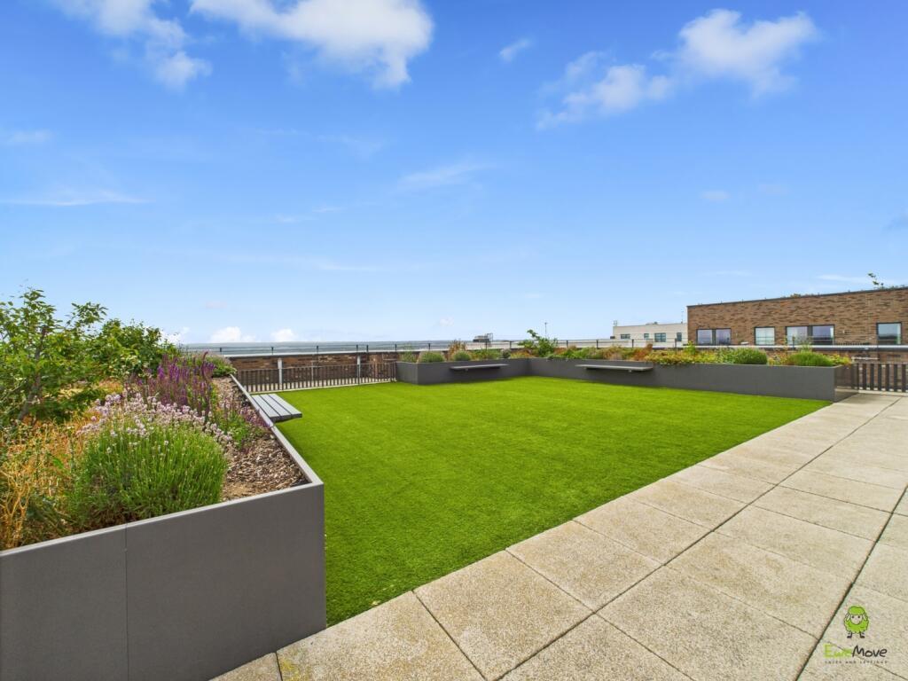 Roof Terrace