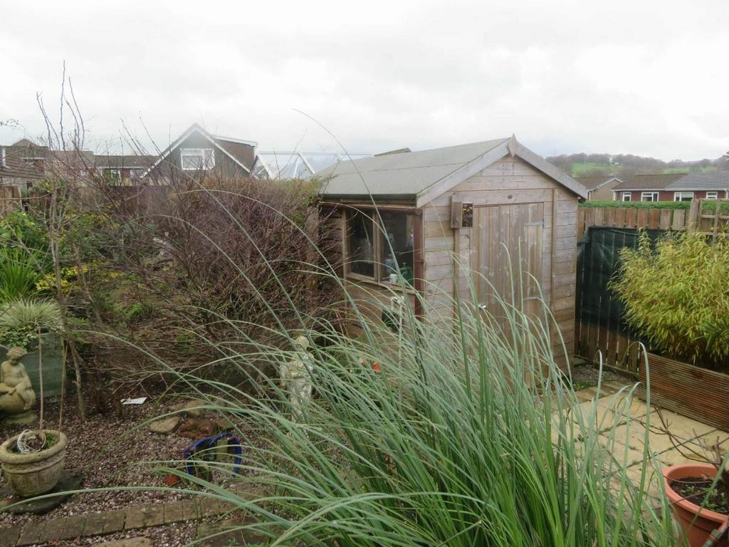 Cae Shed