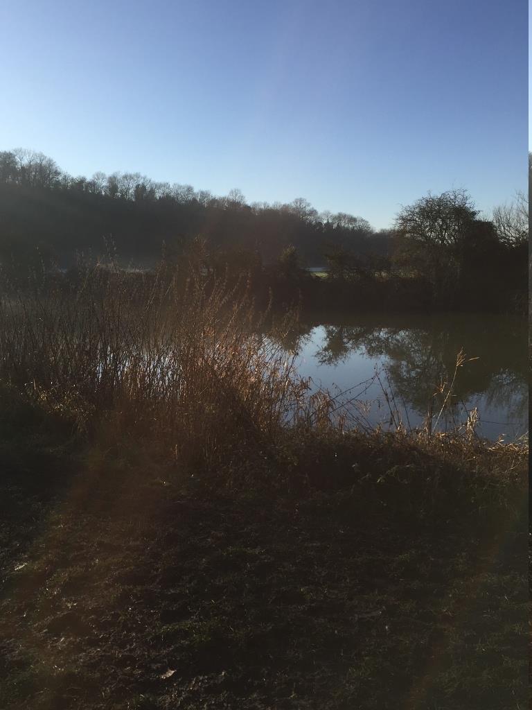River View