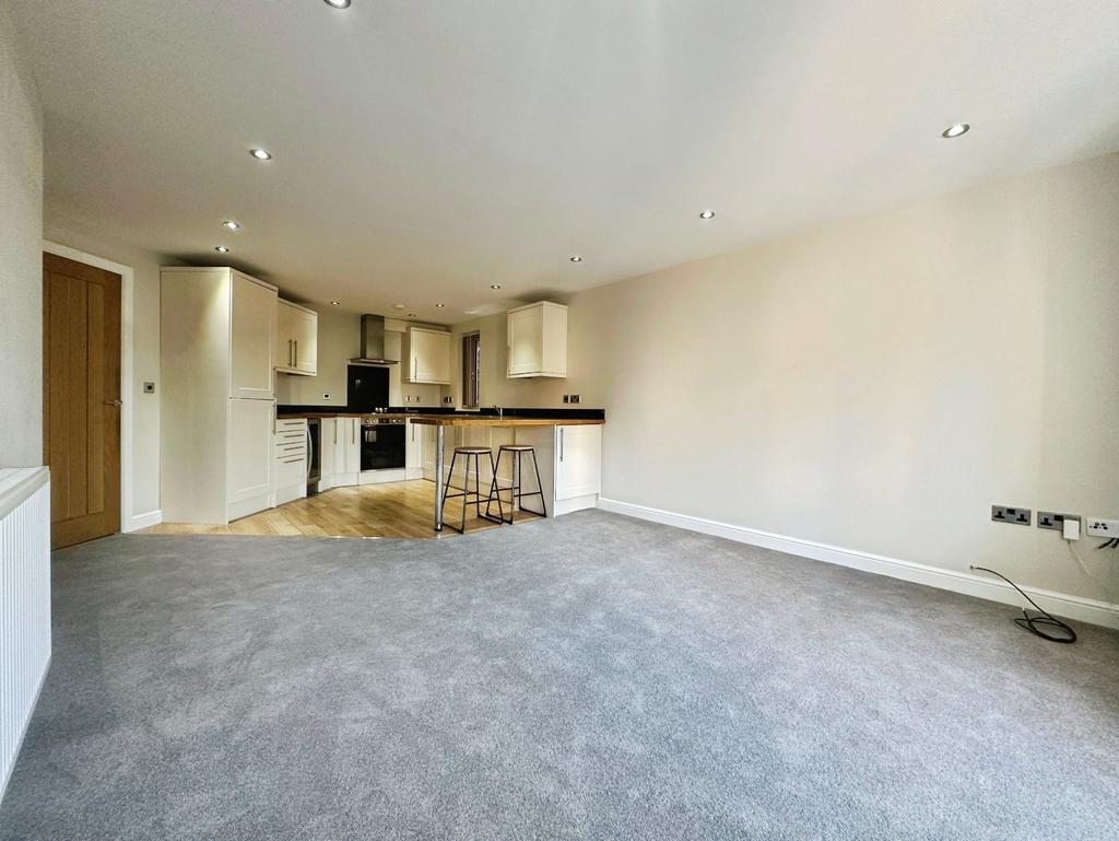 Kitchen/Living Area