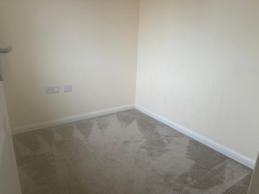 Compact, freshly carpeted single bedroom with n...