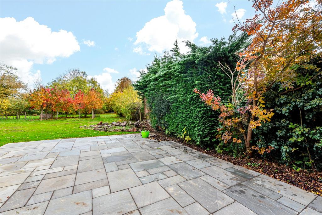 Patio Area