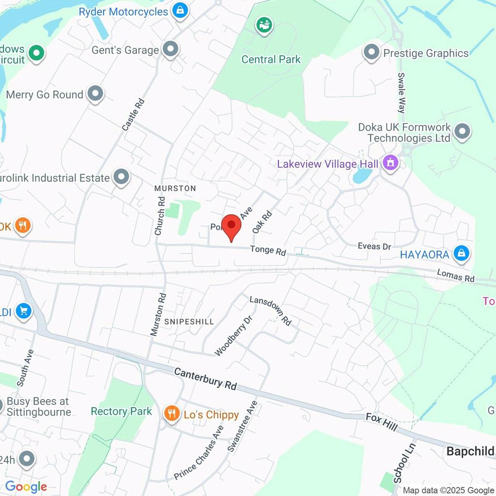 Google Maps Image