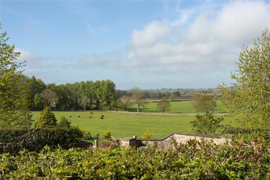 Summer View