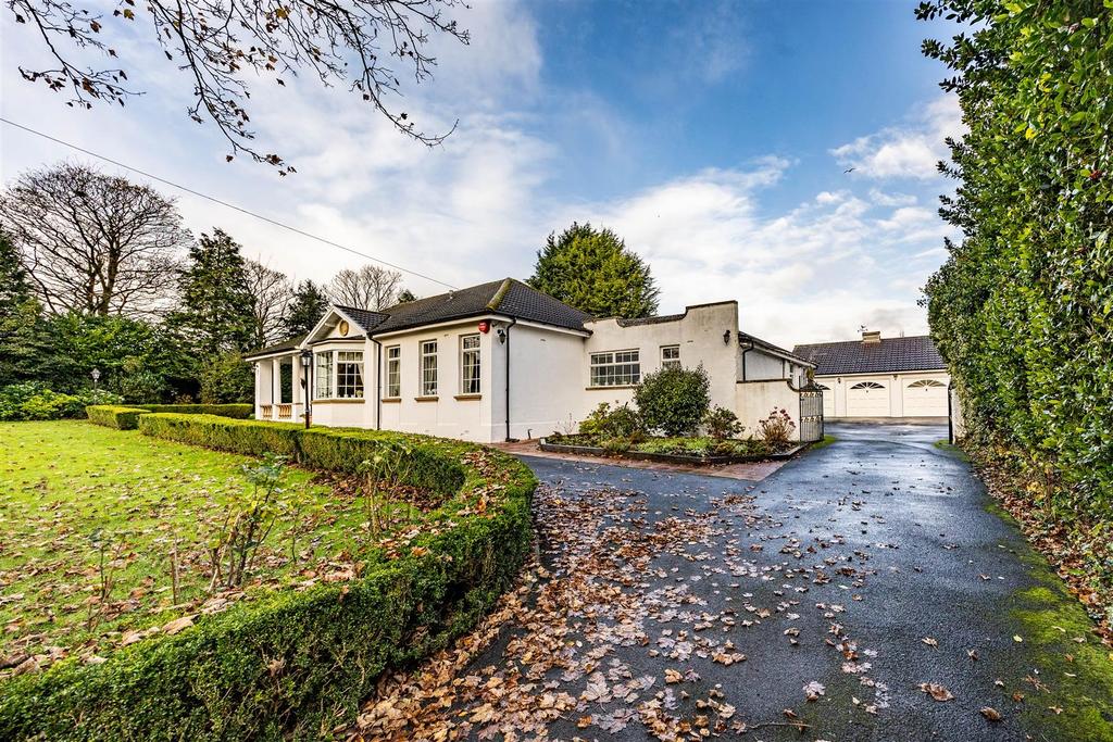 170 WSRHudds-181125-2.jpg