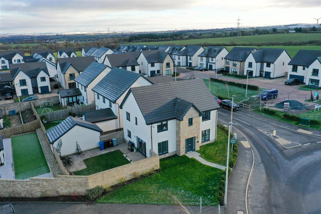 Over Head Plot View