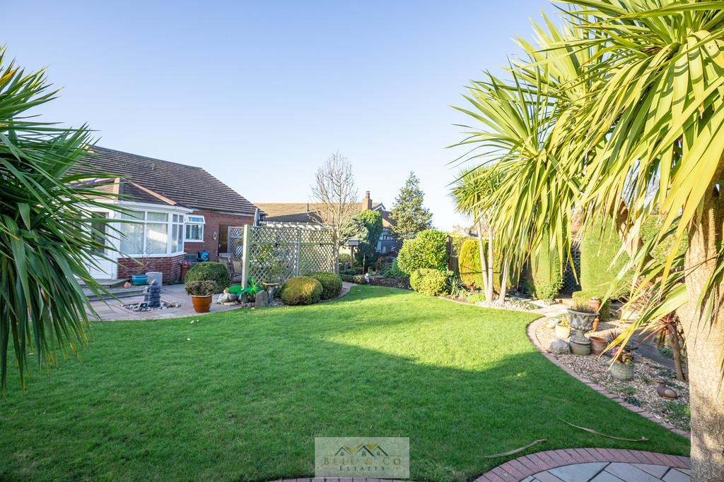 Back garden 1.5