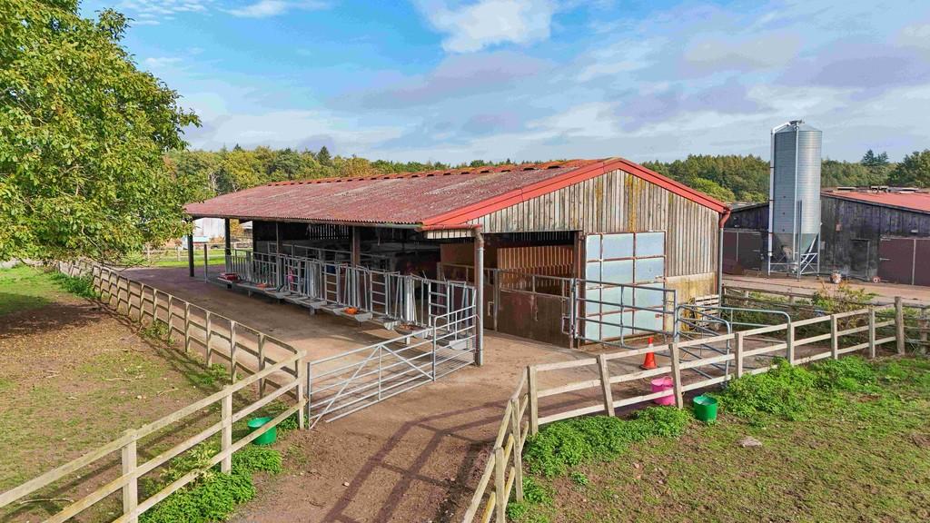 Covered yard/Stables Photo 25 - 0338
