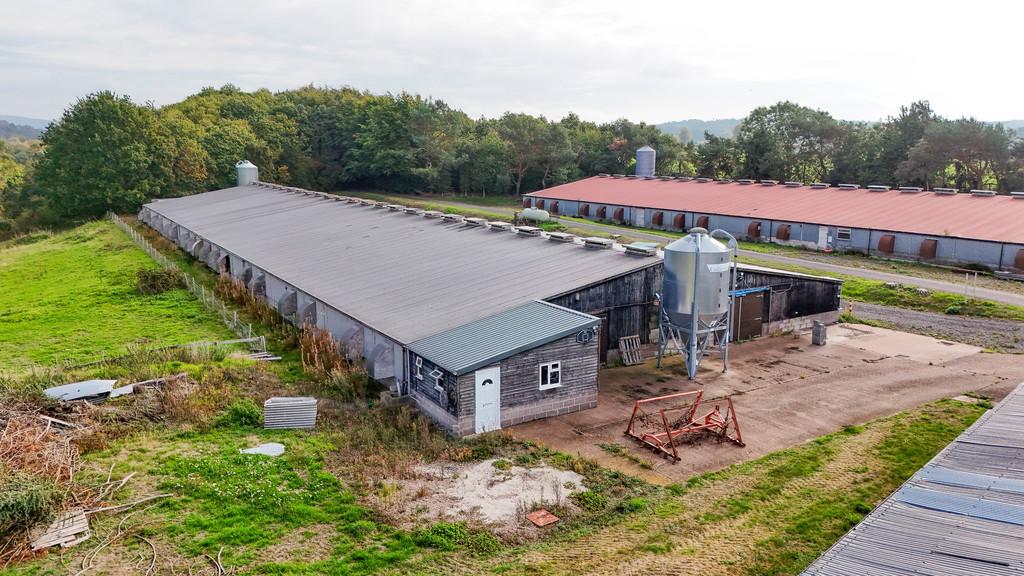 Lot 3 - Photo 22  0330 D