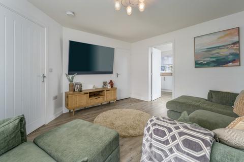 undefined, Amble, Morpeth NE65