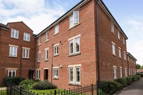 undefined, Gras Lawn, Exeter