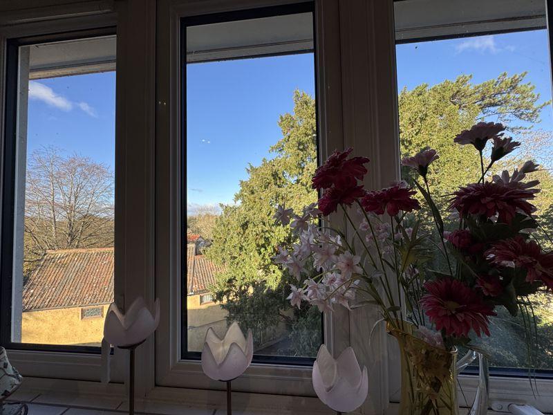 View from kitchen