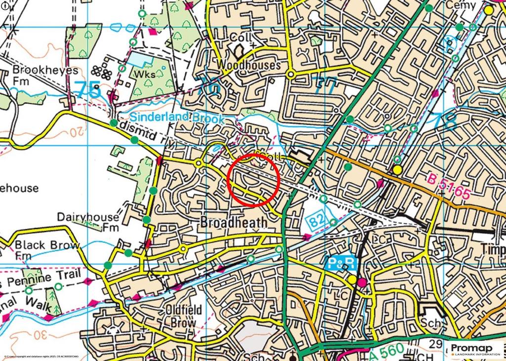Town Plan