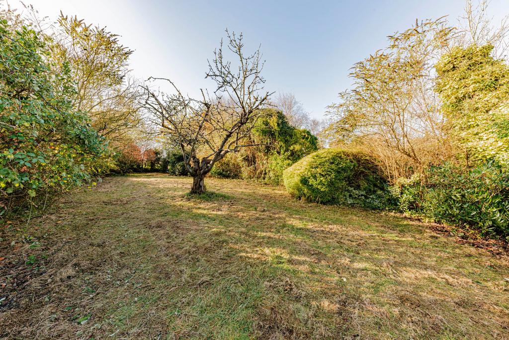 Garden (6)